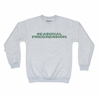 Progression, Texas sweatshirt, square product photo